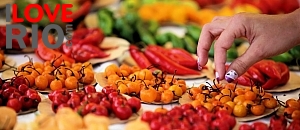 spices at rio de janeiro market